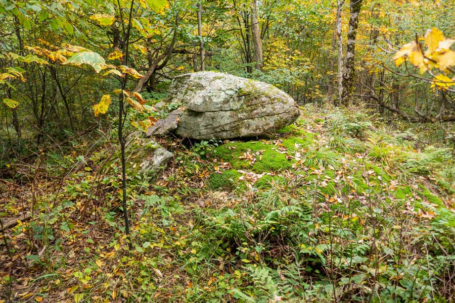 summit of Pelnor Mountain on the Pelnor Hollow Trail