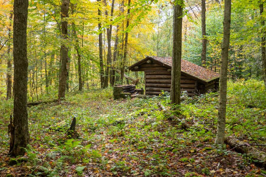 Pelnor Hollow Lean-to  