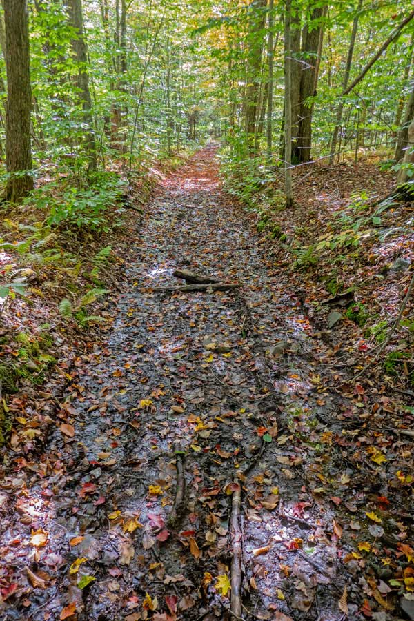 muddy section of the Pelnor Hollow Road on DEC public land