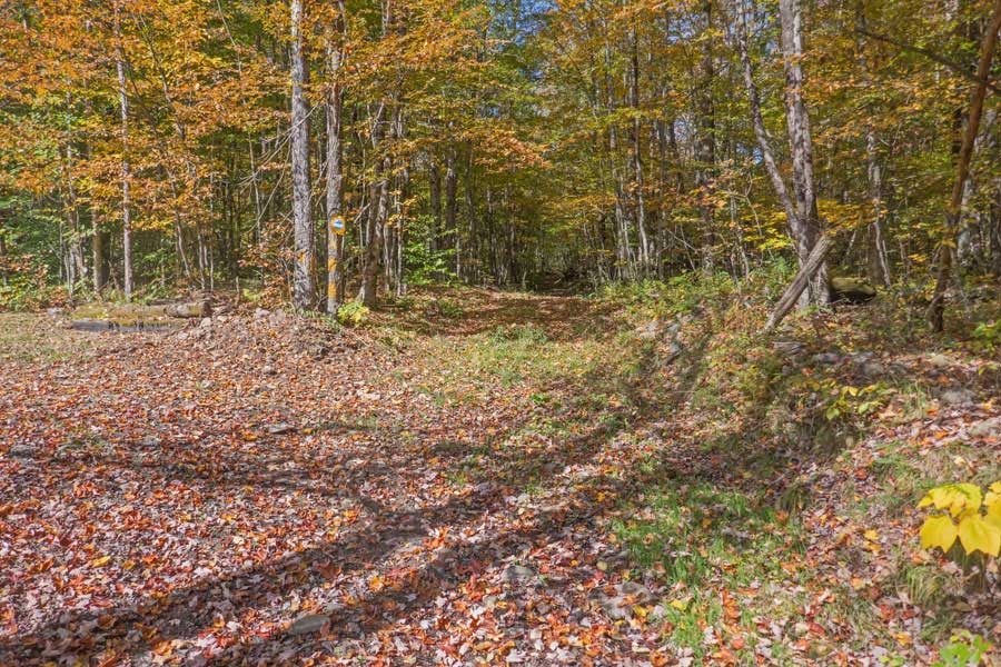 where the Public Pelnor Hollow Road changes to the DEC Access Road to the Pelnor Hollow Parking Area and Trailhead. 