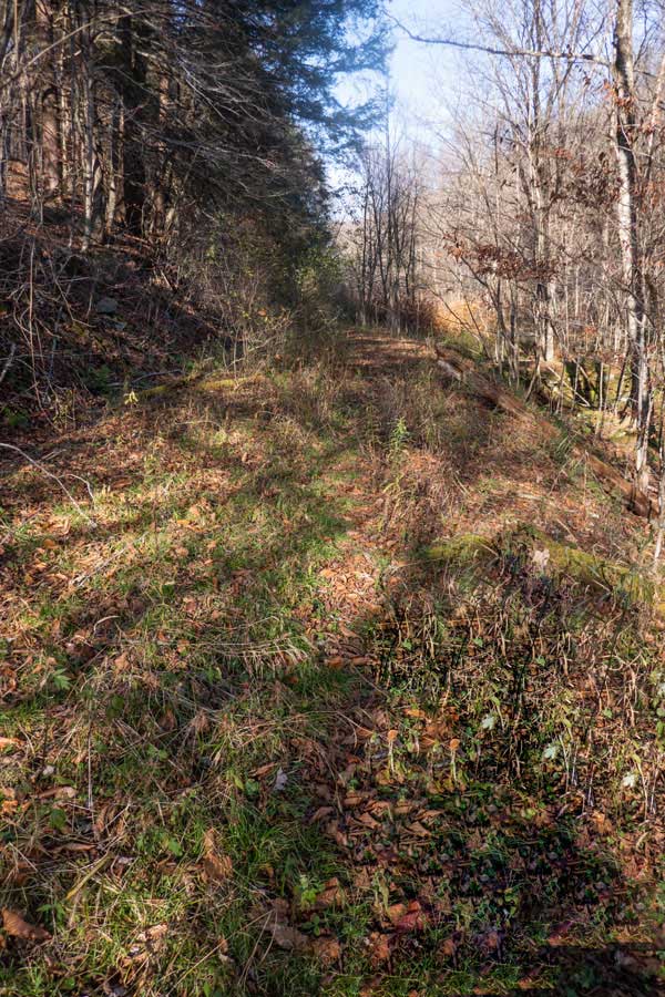 The road opens up to a road you can visibly see 