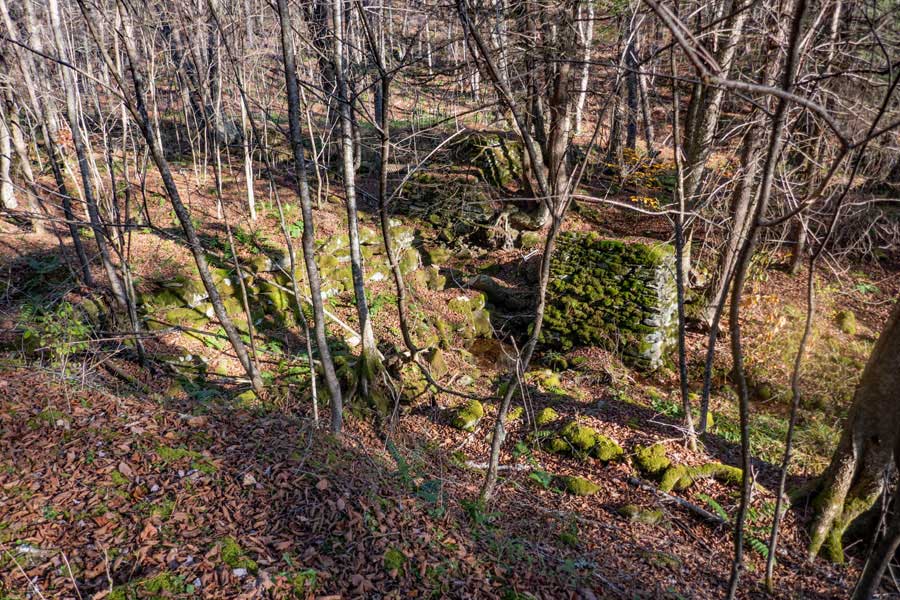 old Dye Works foundation off Russell Brook Road
