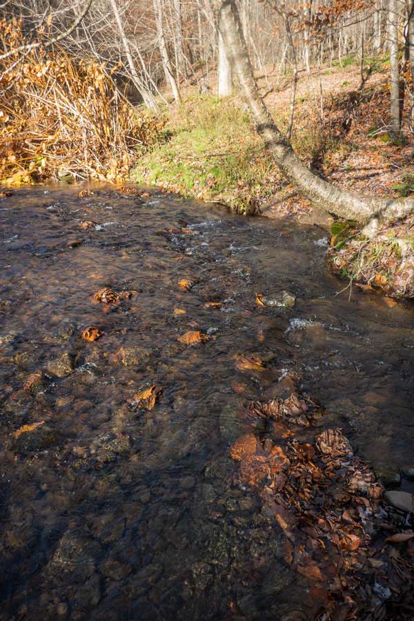 crossing the Russell Brook for the Mud Pond Loop 