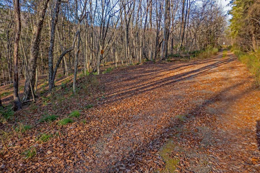 another lower Russell Brook Road Parking Area