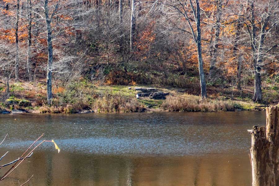 campsite #4 at Trout Pond 