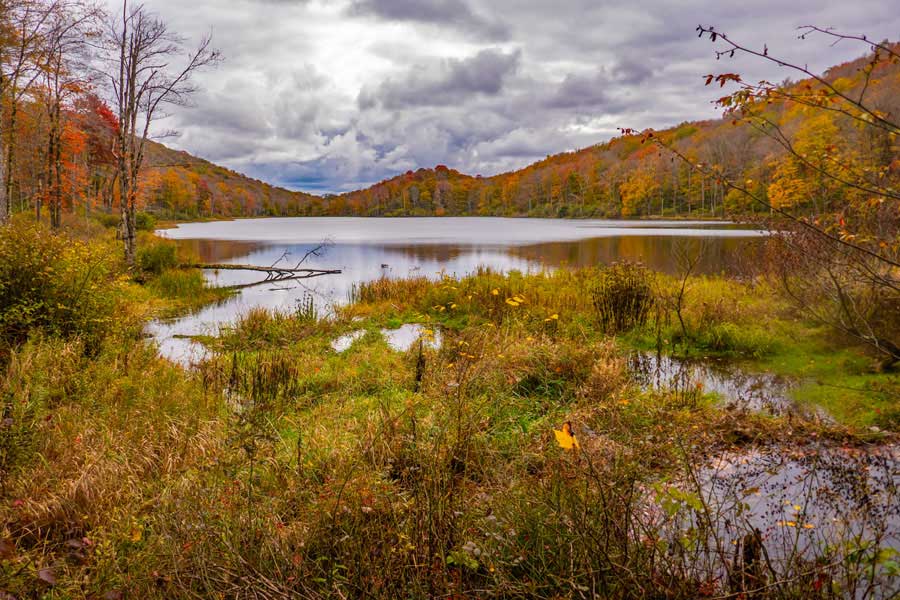 View near summit of Trout Pond
