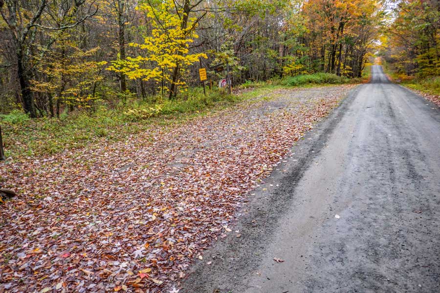 Campbell Mountain Road DEC Parking area for the Trout Pond Trail