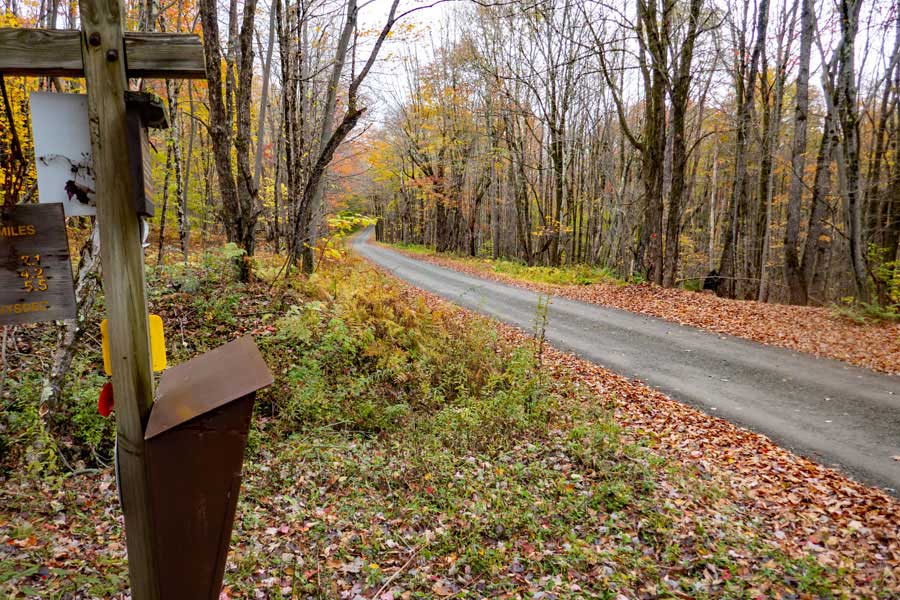 Snowmobile Trail markers on Campbell Brook Road for the Trout Pond Trail