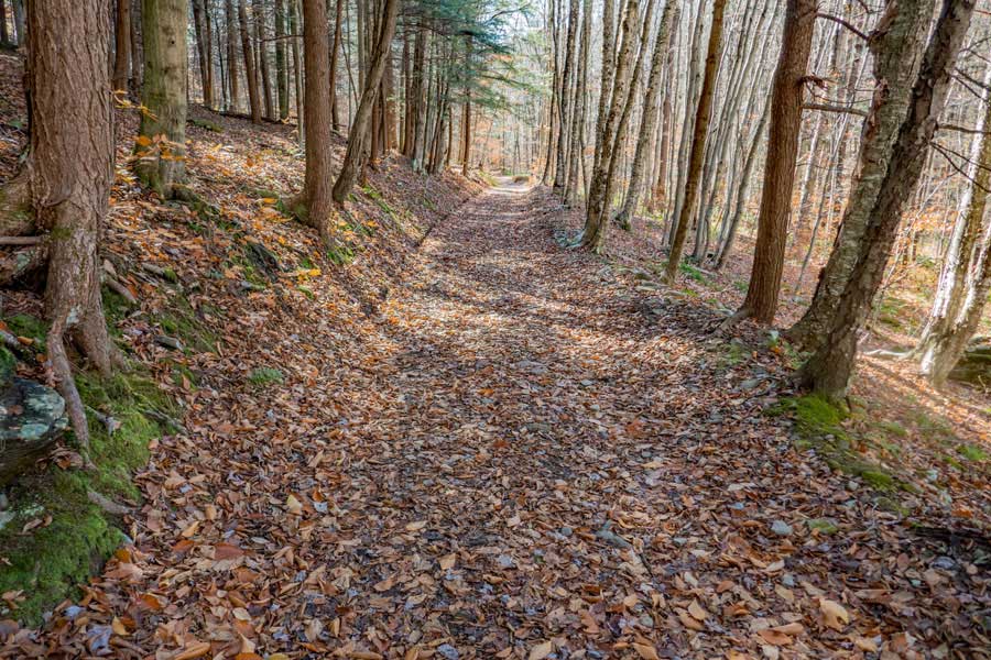 the downhill hike from Trout Lake to the Russell Brook Valley floor