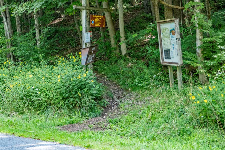 DEC Kiosk for the Balsam Lake Mountain Parking Area
