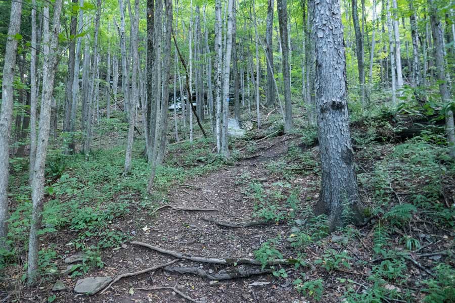 beginning of the Dry Brook Ridge Trail near margaretville, ny