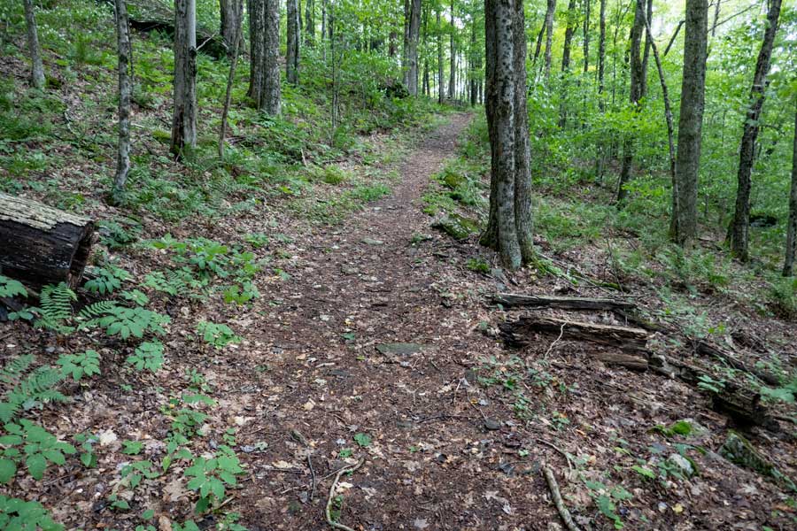 The beginning of the Dry Brook Ridge Trail  