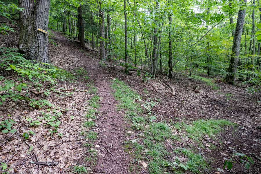 side trail before the summit of the Pakatakan Mountain on the Dry Brook Ridge Trail 
