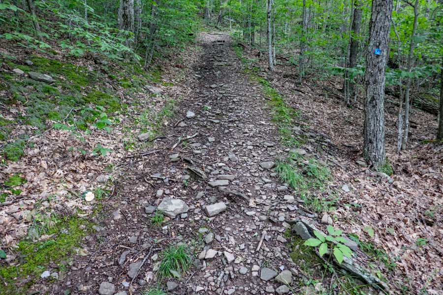 elevation climb up a hill to the Pakatakan Mountain on the Dry Brook Ridge Trail