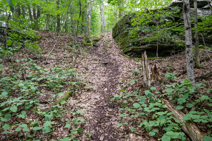 trail between Pakatakan Mountain and the German Hollow Trail