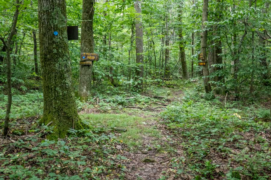 trail junction to the German Hollow Trail on the Dry Brook Ridge Trail