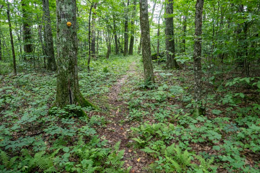 beginning of the German Hollow Trail.