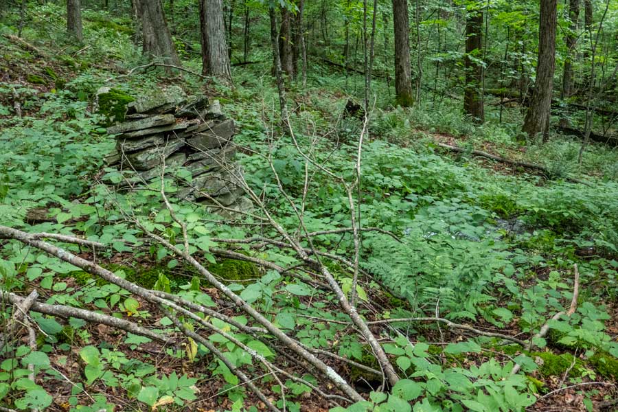 Spring on the German Hollow Trail.