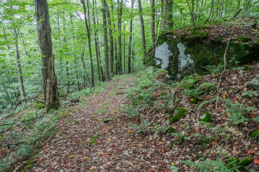 beyond the spring on the German Hollow Trail.