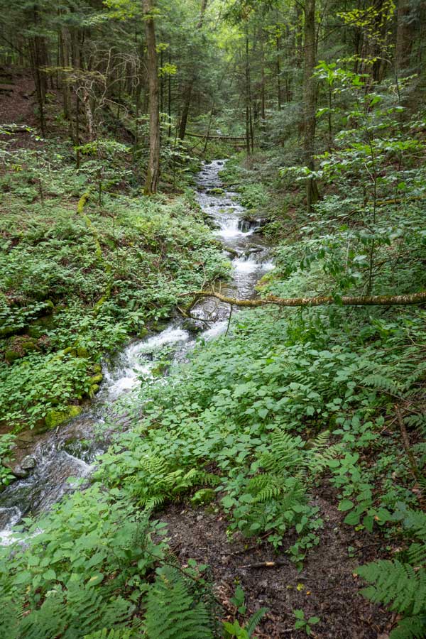 the Reservoir Hollow Creek close to the German Hollow Trail