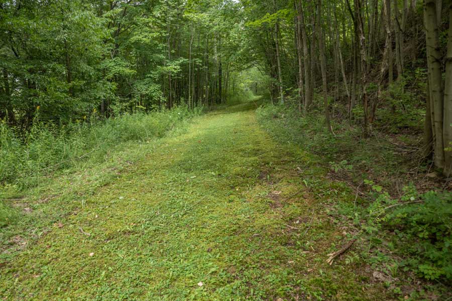 Margretville Village Trail between Rt 28 and South Side Road