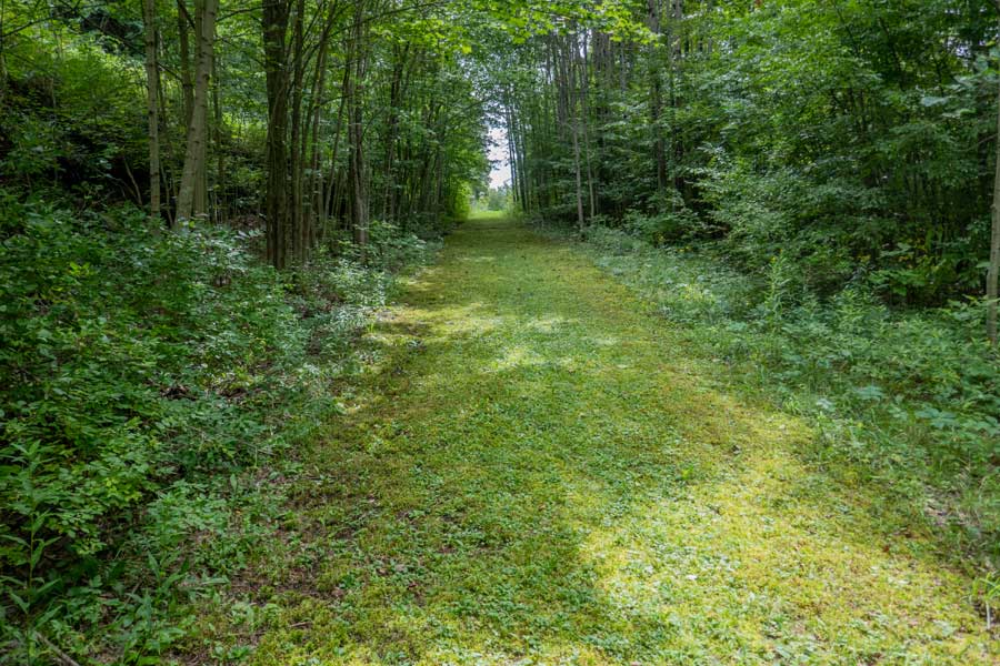 Margretville Village Trail between Rt 28 and South Side Road