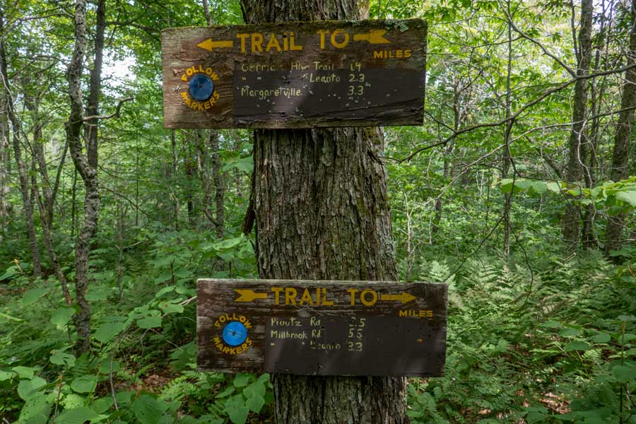 DEC signs at the Huckleberry Loop Trail Junction with the Dry Brook Ridge Trail 