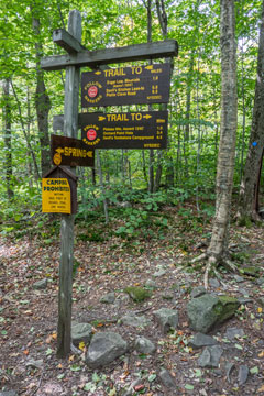 Trail junction on Mink Hollow Road for the trail to the summit of Plateau Mountain