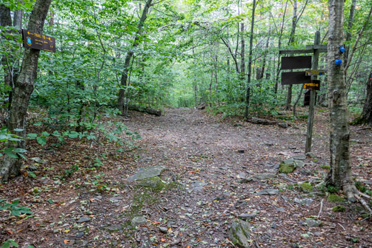 4 way trail junction at Mink Hollow Road pass between sugarloaf mountain and Plateau Mountain