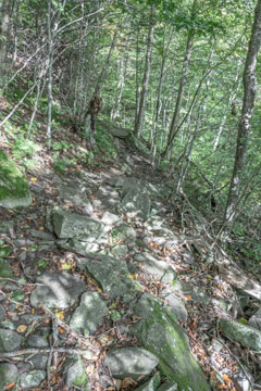 beginning of trail to the summit of Plateau Mountain