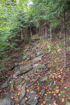 trail from mink hollow pass to the summit of Plateau Mountain
