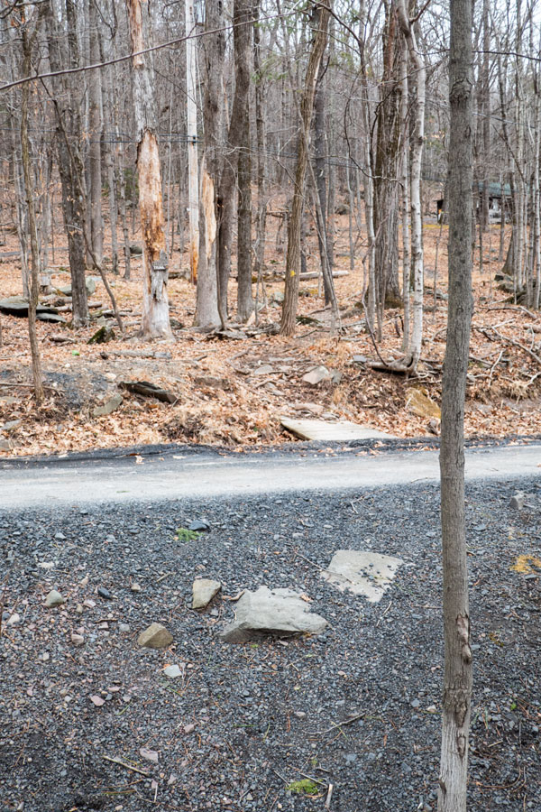 crossing over driveways on the Byrdcliffe Trail