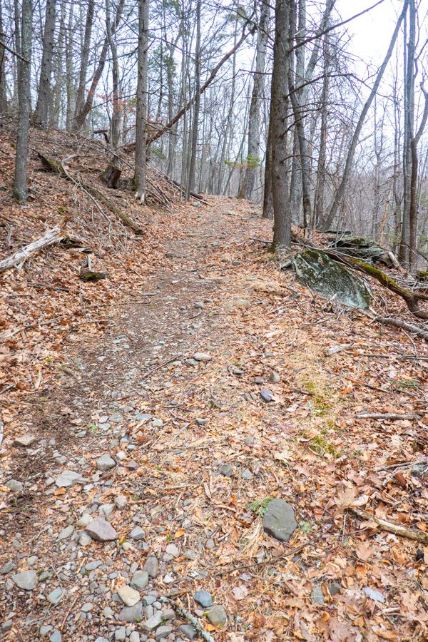 Mountain Guardian Trail entering into the Mount Guardian Preserve