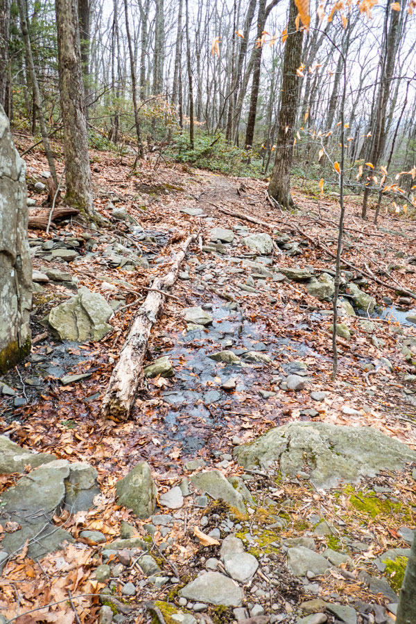 stream crossing on Mount Guardian Trail