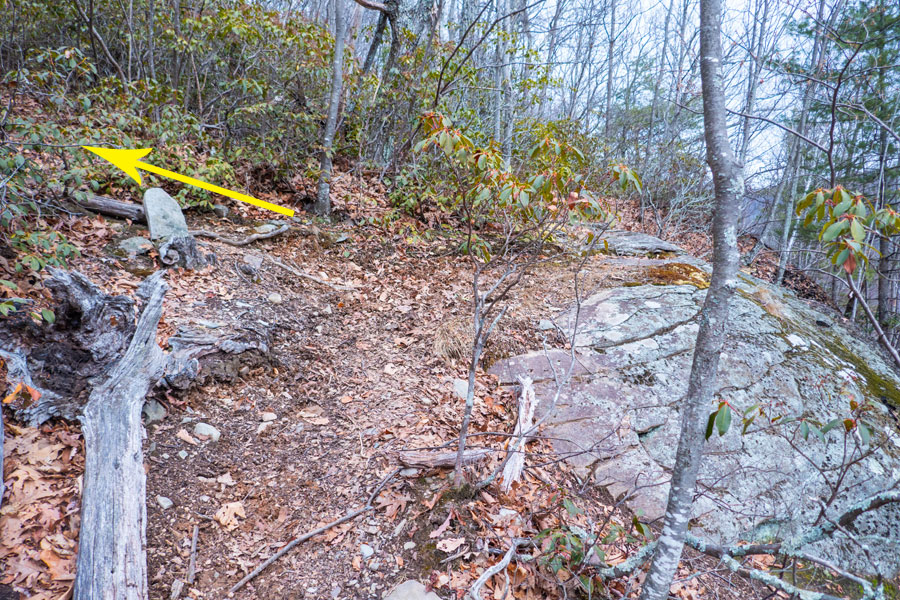sharp turn left on the Mount Guardian Trail