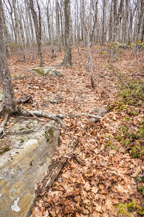 summit region of Mount Guardian