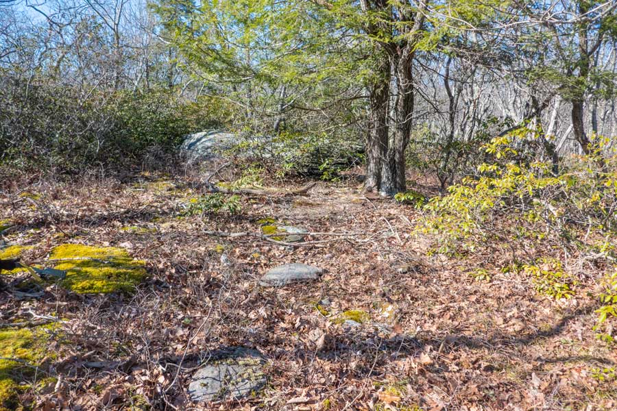 Mount Guardian actual summit