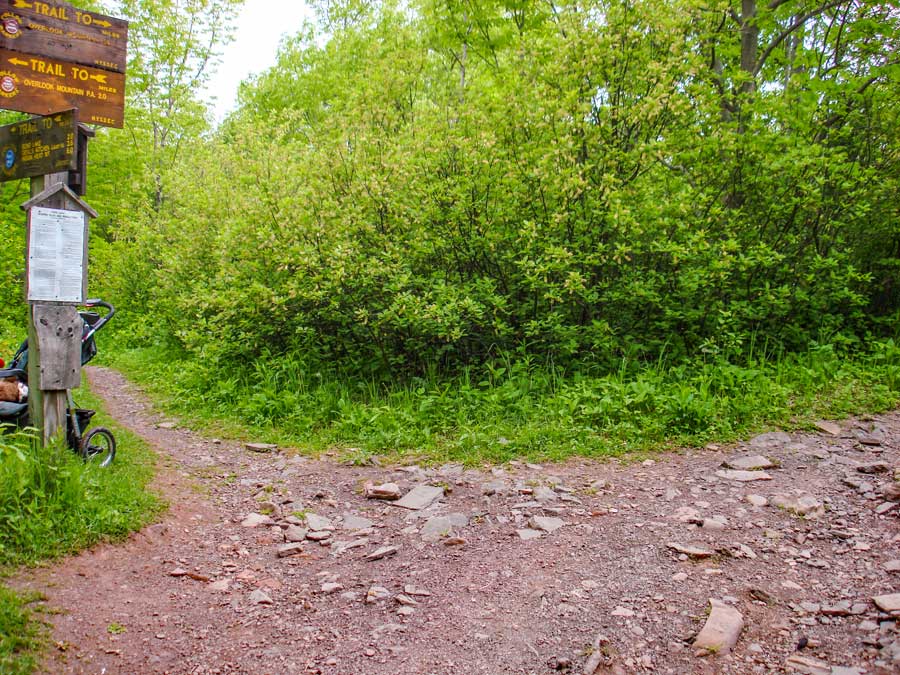 Overlook Mountain