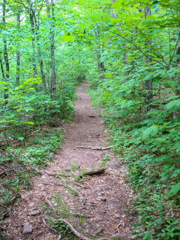Echo Lake Trail