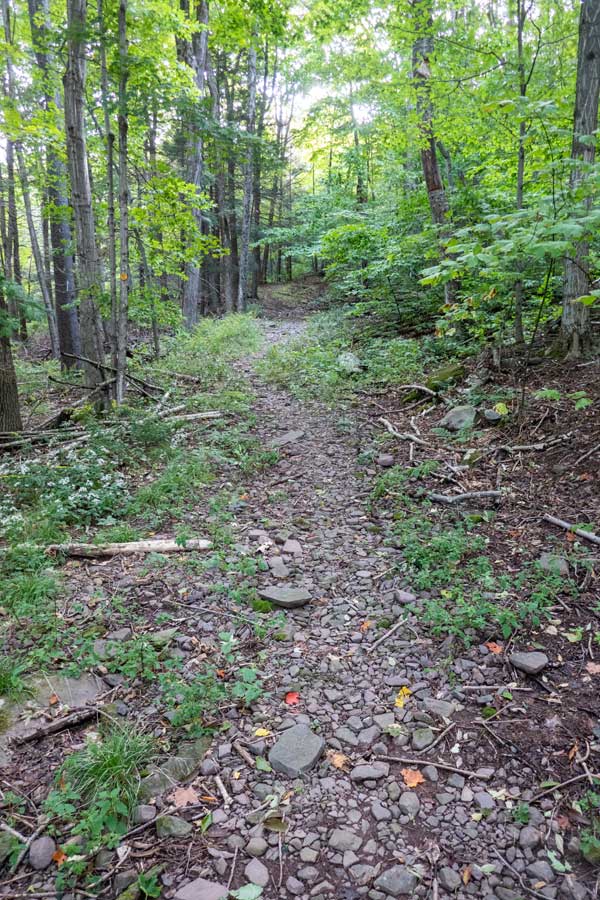Notch Inn Road Trail