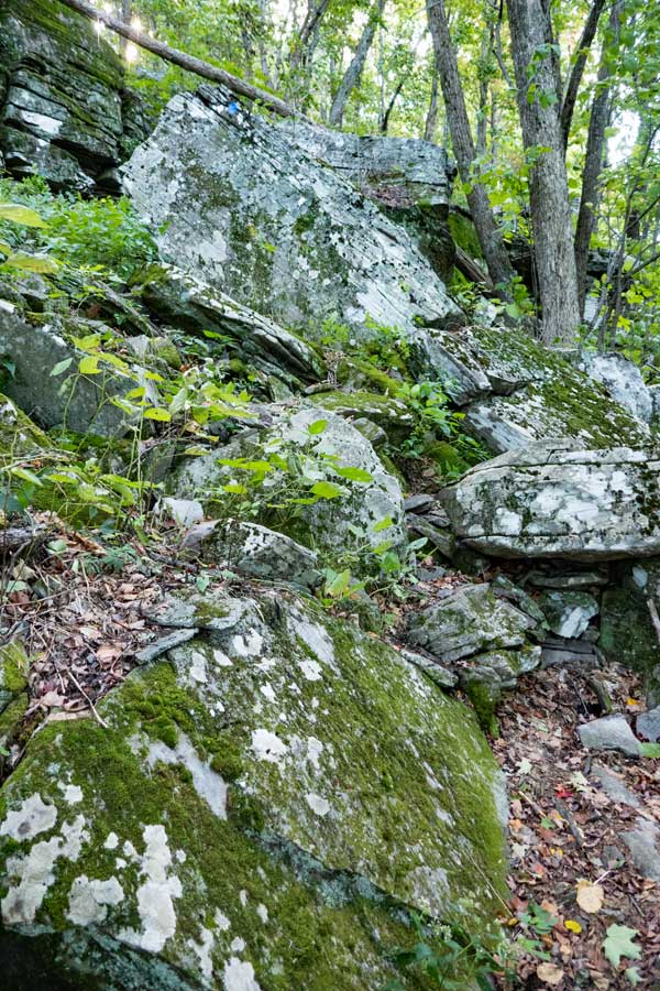 first ledge on the warner creek trail on plateau mountain