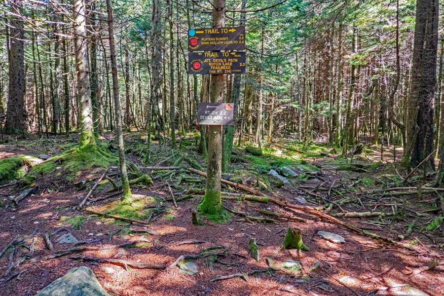 trail junction of the Warner Creek Trail and the Devil's Path