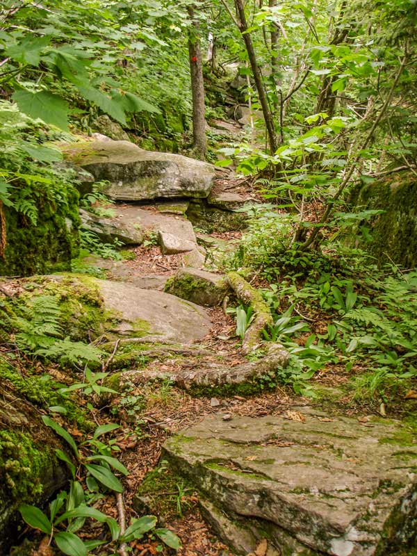 beginning of Devil's Path to Sugarloaf Mountain