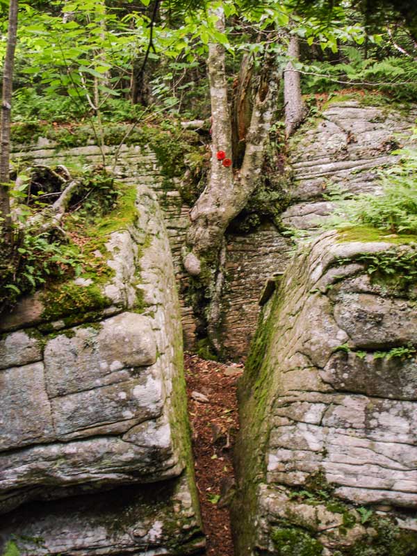 Narrow rock cut on Devil's Path to Sugarloaf Mountain