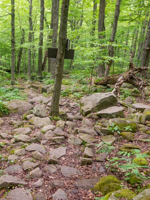 trail junction for Mink Hollow Trail and Devil's Path on Sugarloaf Mountain