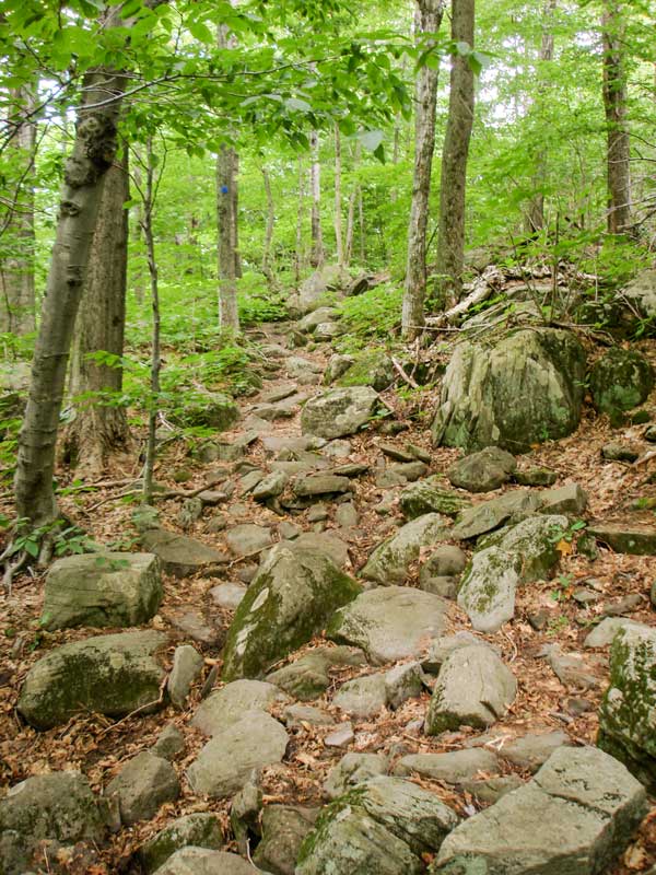 beginning of Mink Hollow Trail near Devil's Path on Sugarloaf Mountain
