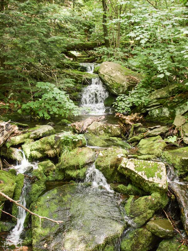 waterfall on the Mink Hollow Trail on Sugarloaf Mountain