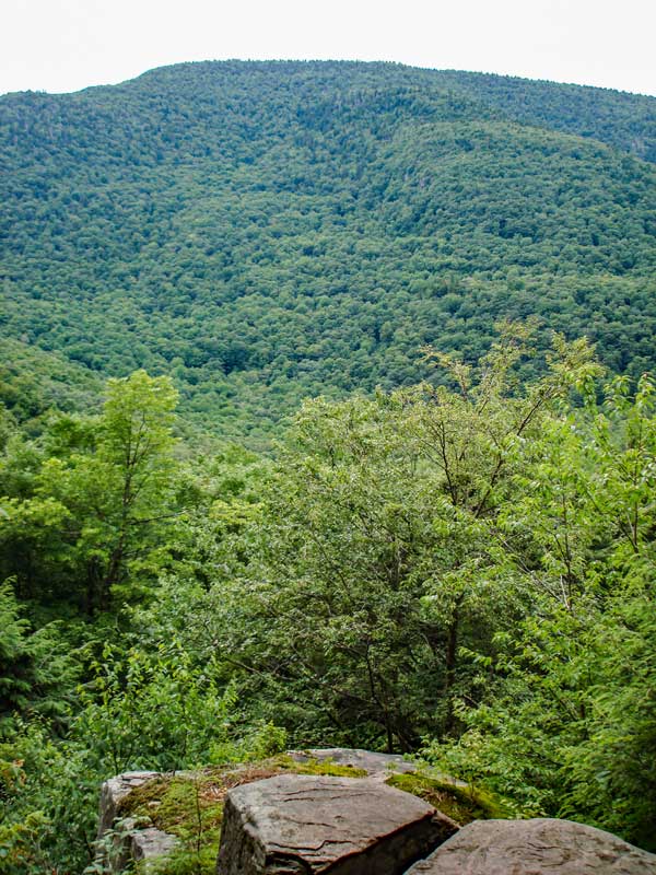View point on the Mink Hollow Trail of Plateau Mountain
