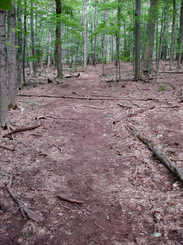 section of Mink Hollow Trail where there is no vegetation near Sugarloaf Mountain
