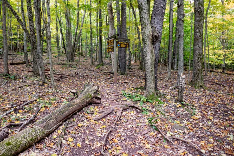 Trail Junction for Pecoy Notch Trail and Mink Hollow Trail